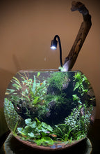 Load image into Gallery viewer, 14" Emerald Citadel (1/1)