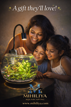 Load image into Gallery viewer, 6" Shrimp Sphere