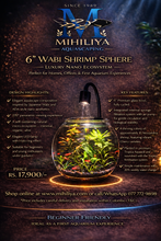 Load image into Gallery viewer, 6" Shrimp Sphere