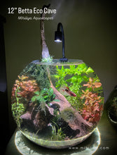Load image into Gallery viewer, 12" Betta Eco Cave (1/1)