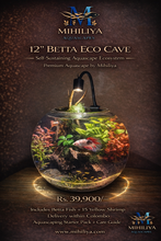 Load image into Gallery viewer, 12" Betta Eco Cave (1/1)