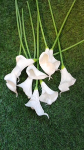 Mini Calla Lilly single