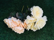 Load image into Gallery viewer, h:47cm peony Bunch
