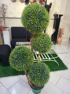 Potted pine grass ball tree