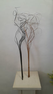 Natural Dry Twig