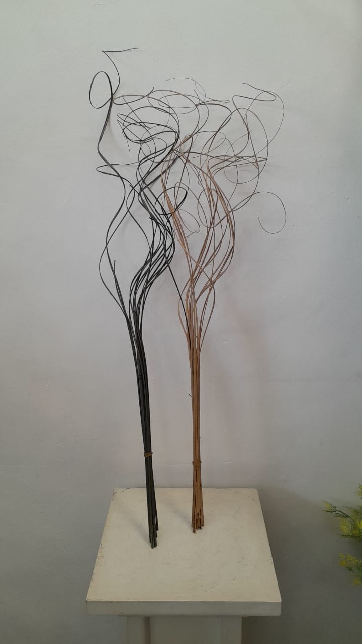 Natural Dry Twig