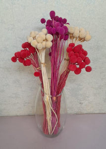 Mini Billy Buttons Bunch (H: 24cm)
