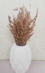 Dried Reed Grass bunch