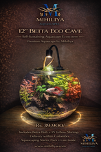 Load image into Gallery viewer, 12" Betta Eco Cave (1/1)
