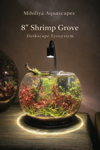 Load image into Gallery viewer, 8" Shrimp Grove
