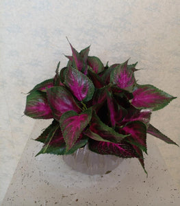 Artificial Floral Arrangement (h:25cm w:32cm)
