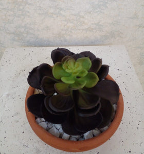 Artificial Floral Arrangement (h:15cm w:14cm)