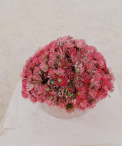 Artificial Floral Arrangement (h:18cm w:18cm)