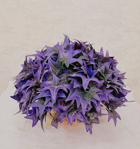 Artificial Floral Arrangement (h:17cm w:19cm)