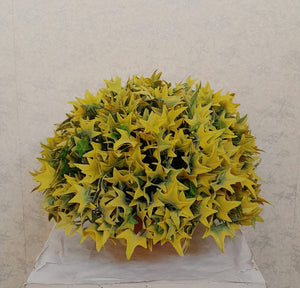 Artificial Floral Arrangement (h:25cm w:30cm)