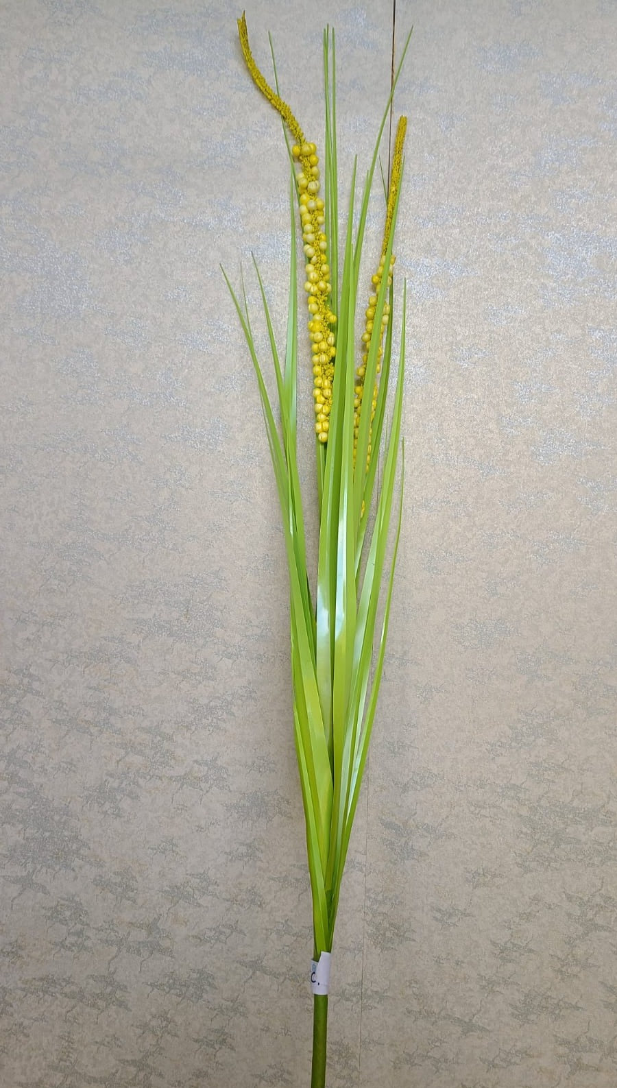 Foxytail Sprig