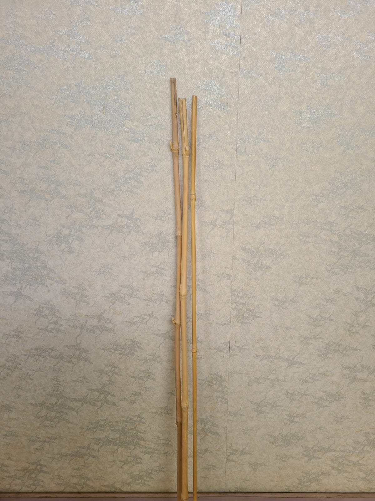 Natural Bamboo Stick
