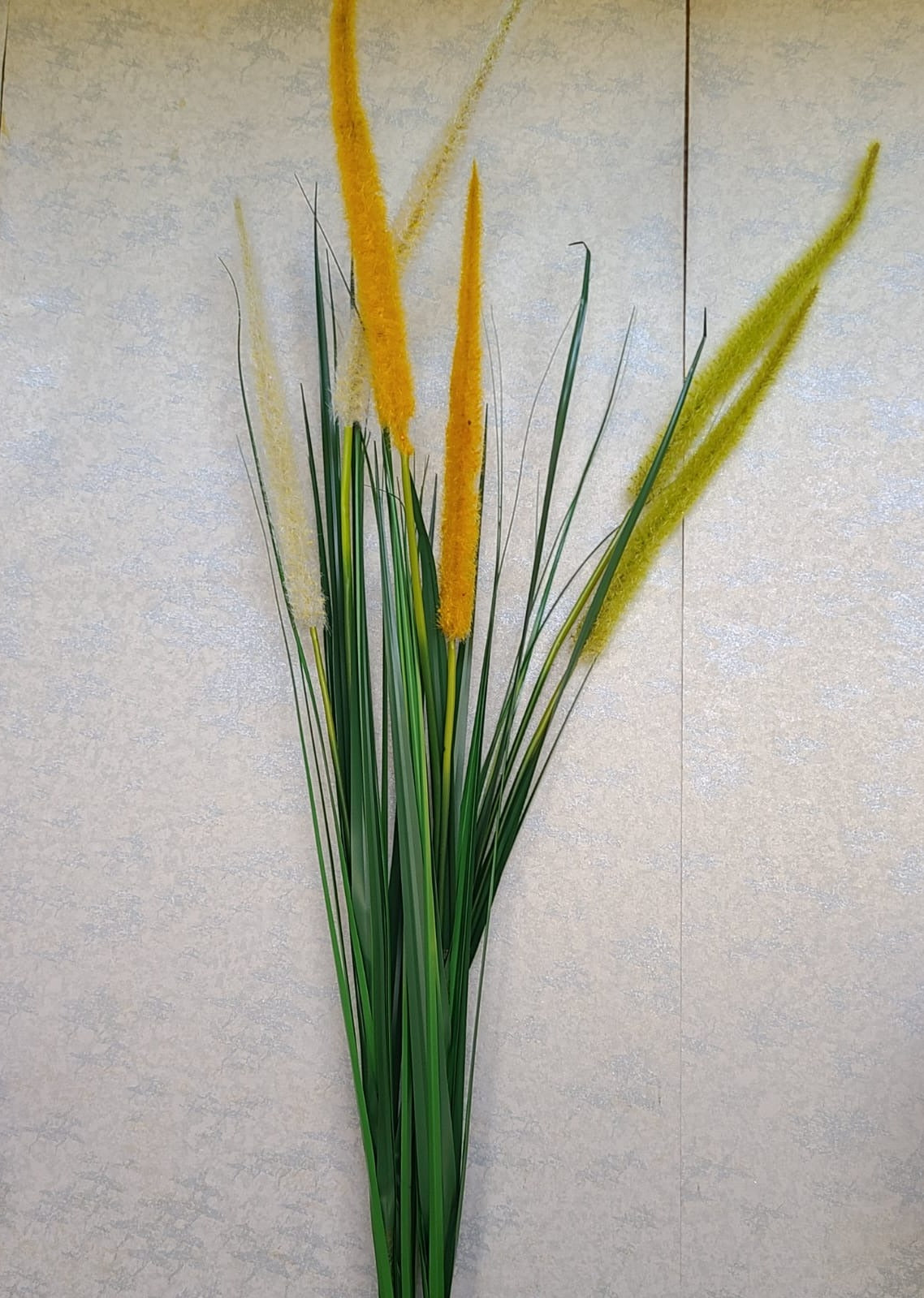 Fountain Grass Sprig