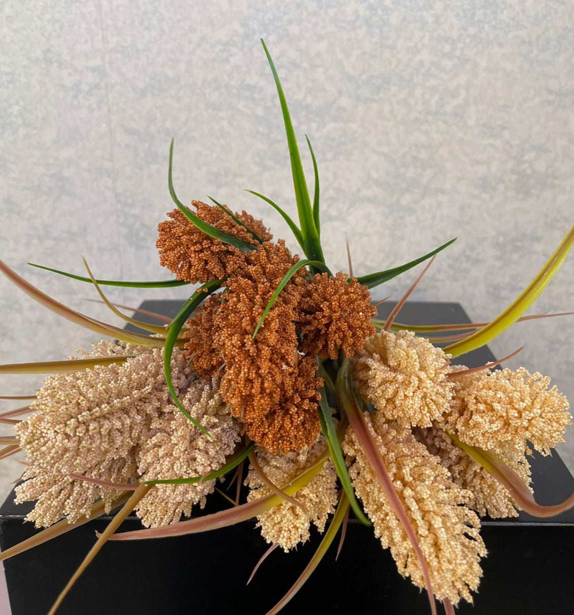 Mini bullrush bunch (H:40cm W:23cm)