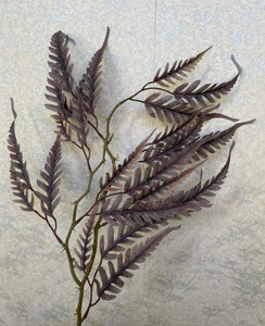 Eagle fern sprig(H:66cm W:20cm)
