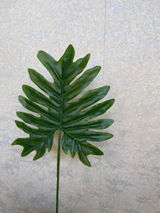 Small philodendron leaf(H:59cm W:20cm)