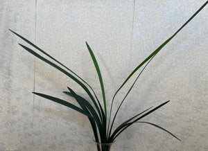 Tall orchid leaf(H:110cm)