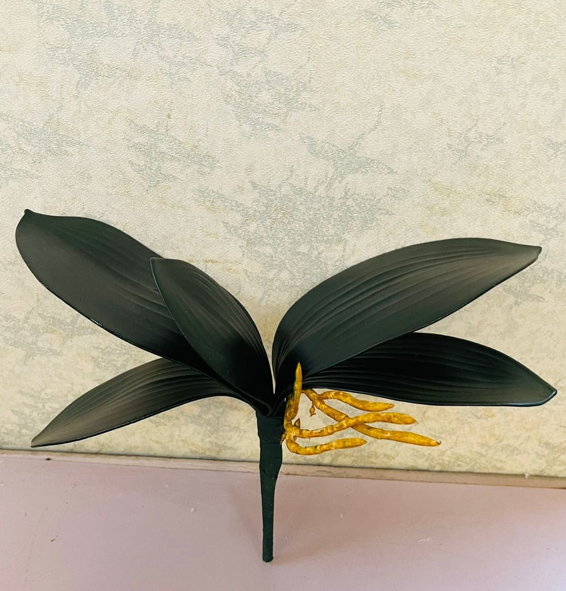 Orchid leaf with yellow root(H:25cm W:15cm)