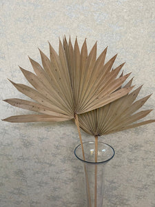 Dry lady palm leaf