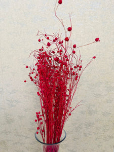 Dried berry bunch