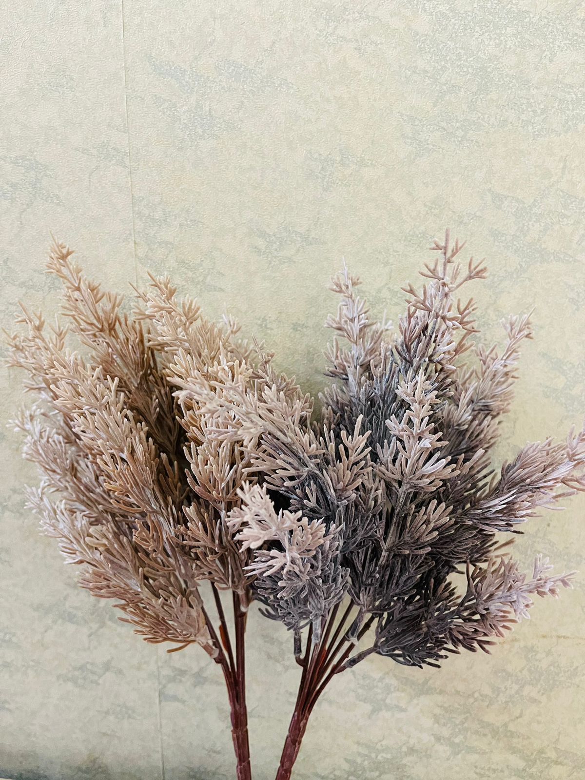 Sea grass bunch