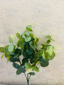 Eucalyptus bunch