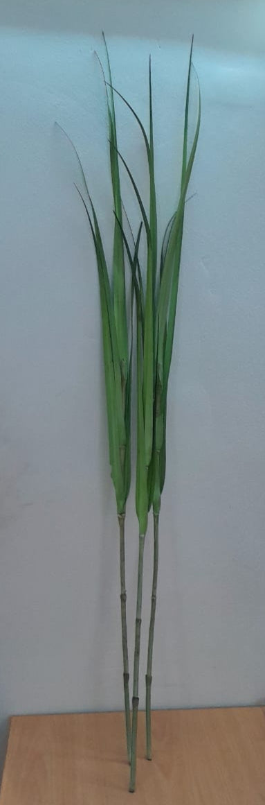120 cm Wild tall Grass