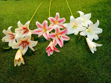 Load image into Gallery viewer, h:100cm Tiger Lilly Bunch
