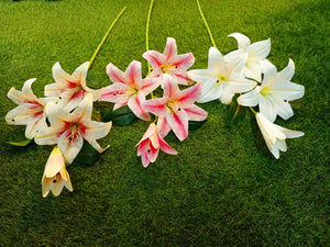 h:100cm Tiger Lilly Bunch