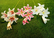 Load image into Gallery viewer, h:100cm Tiger Lilly Bunch
