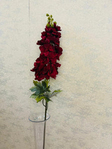 Autumn delphinium sprig
