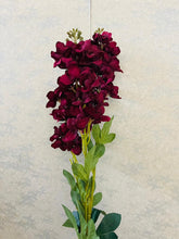 Load image into Gallery viewer, Three sprig delphinium flower
