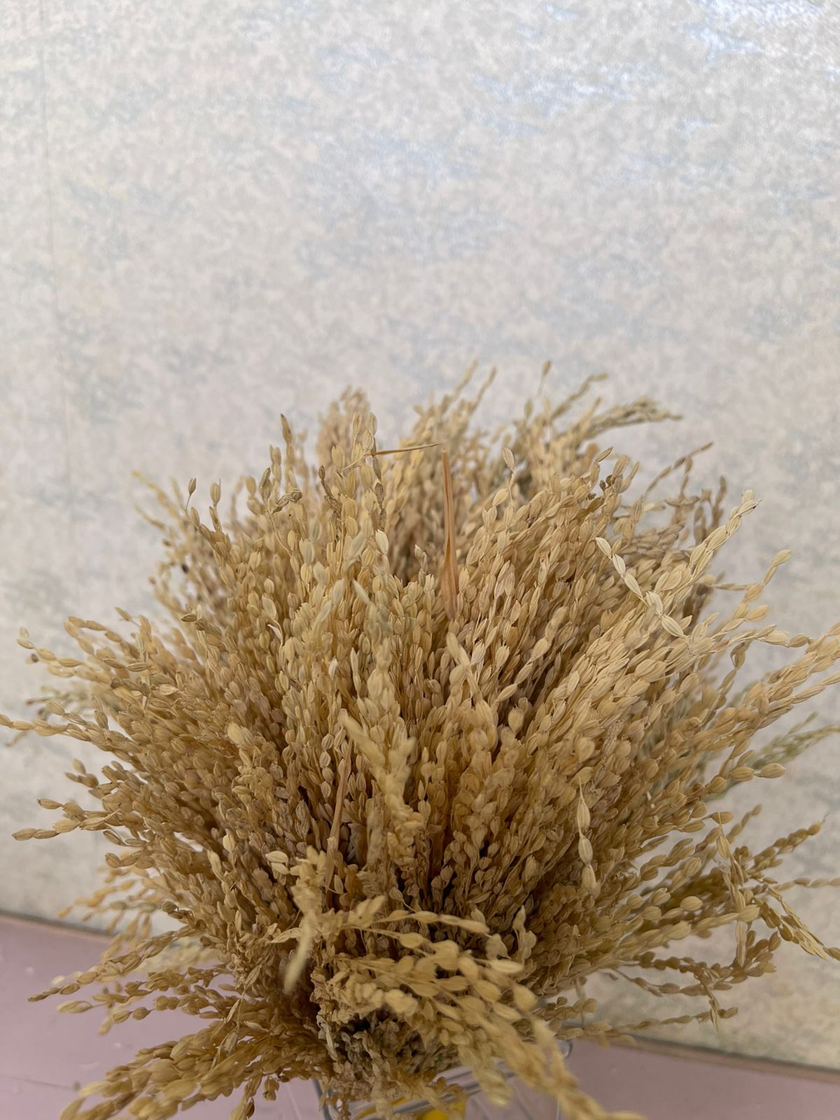 Dried paddy bunch (H:30cm W:20cm)