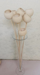 Dried bell cups