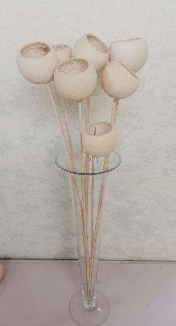 Dried bell cups