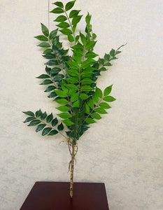 Tea leaf sprig