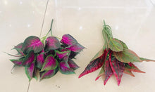 Load image into Gallery viewer, 35cm Purple &amp; Red Small Plant - Green Gardens Mihiliya (Pvt) Ltd
