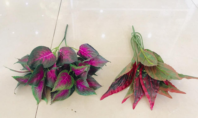 35cm Purple & Red Small Plant - Green Gardens Mihiliya (Pvt) Ltd