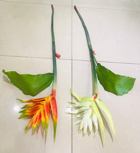 95cm Heliconia Torch Flower