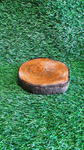 Wooden Bark Circle Tray Small (h:3cm w:15cm)