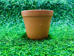 Clay Pot - Circular Base L  (h:9cm w:10cm)