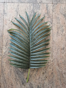 Palm Leaf - L (H: 44cm W:27cm)