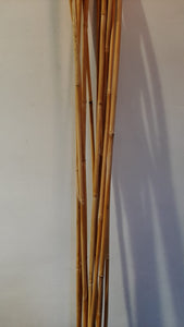 Natural Bamboo Sticks (H:57 inches)
