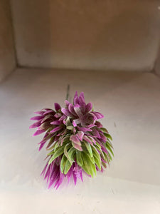20cm Spike Sacculent