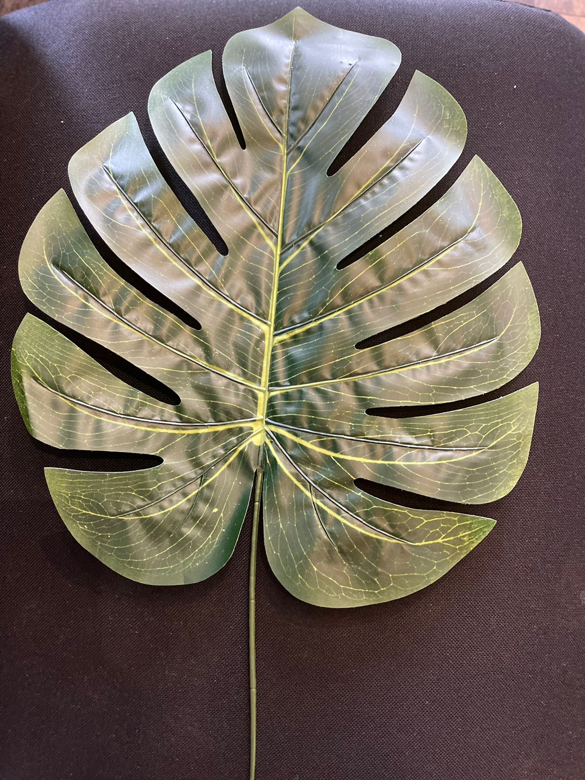 57cm Single Philo Leaf